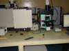 dsc06498_small.jpg