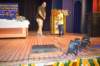dsc_1909_small.jpg