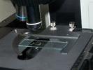 Lab photos0041