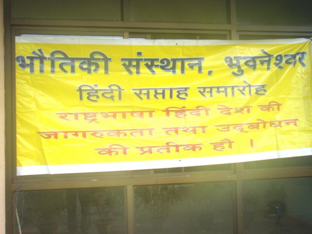 dsc02487.jpg
