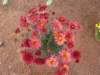 dsc03821_small.jpg