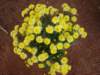 dsc03822_small.jpg