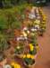 dsc03824_small.jpg