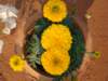 dsc03825_small.jpg