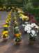 dsc03826_small.jpg