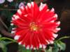 dsc03827_small.jpg