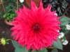 dsc03830_small.jpg