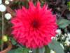 dsc03831_small.jpg