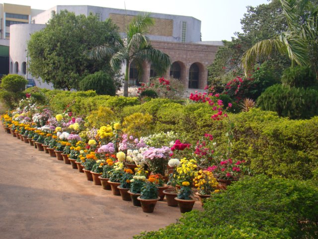 dsc03833.jpg