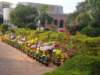 dsc03833_small.jpg