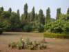 dsc03834_small.jpg