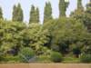 dsc03837_small.jpg