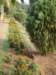dsc03838_small.jpg