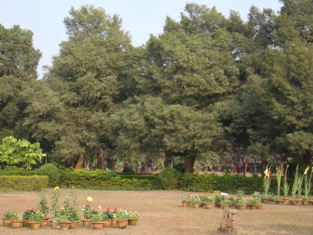 dsc03839.jpg
