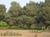 dsc03839_small.jpg