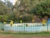 dsc03843_small.jpg