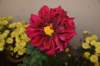 dsc_1598_small.jpg