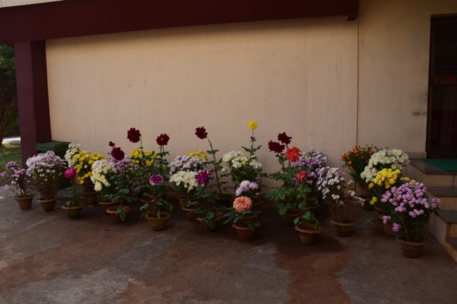 dsc_1614.jpg