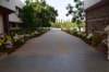 dsc_1616_small.jpg