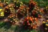 dsc_1622_small.jpg