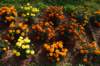 dsc_1623_small.jpg