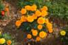 dsc_1624_small.jpg