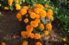 dsc_1626_small.jpg