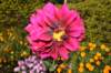 dsc_1629_small.jpg