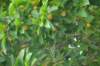 dsc05477_small.jpg