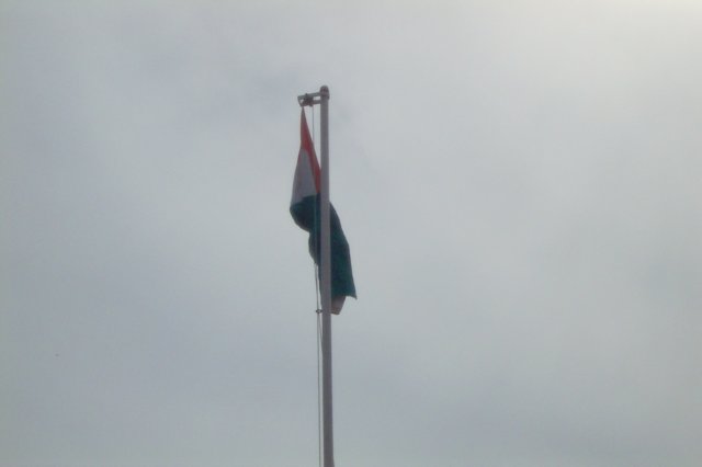 thindipendanceday005.jpg
