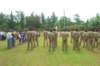 thindipendanceday013_small.jpg