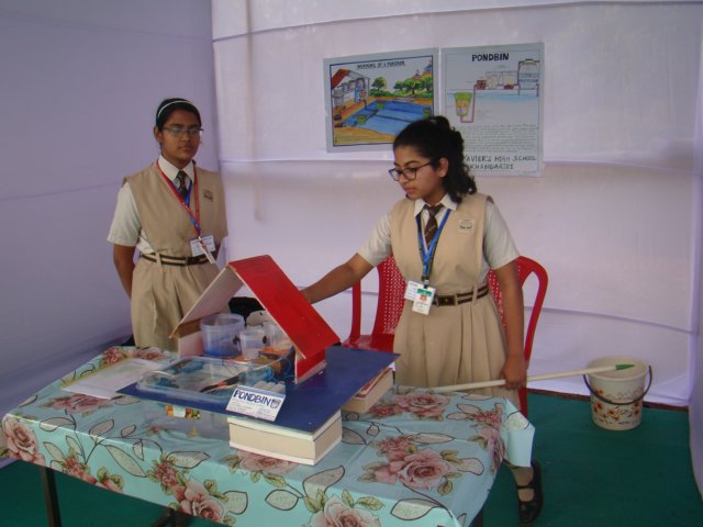 dsc02033.jpg