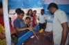 dsc_0220_small.jpg