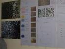 Photo0017