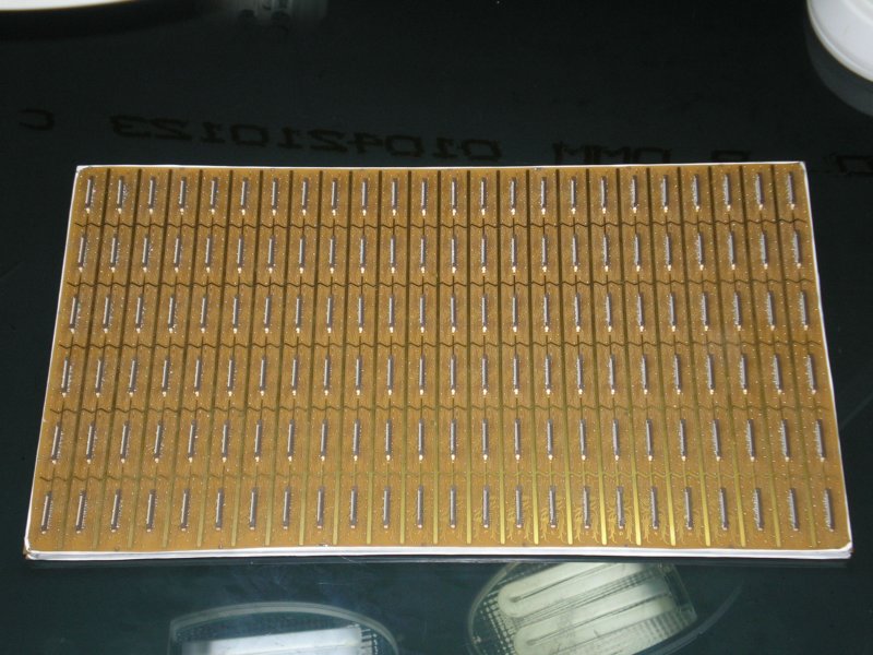 p8020251.jpg