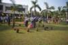 dsc_0865_small.jpg
