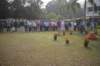 dsc_0511_small.jpg