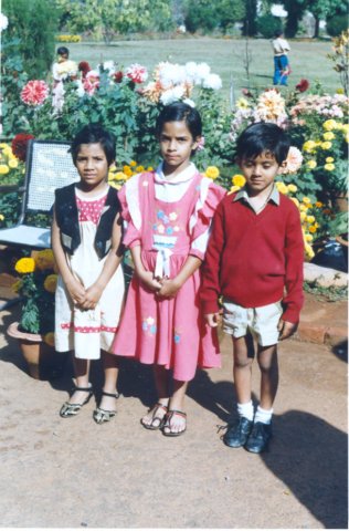 Photograph