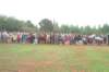 republicday2008050_small.jpg
