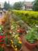 dsc03067_small.jpg