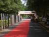 dsc04285_small.jpg