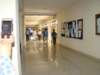 dsc04296_small.jpg