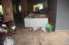 dsc_2371_small.jpg