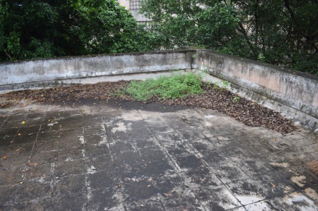 dsc_2372.jpg