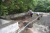 dsc_2382_small.jpg