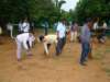 dsc02821_small.jpg