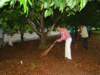 dsc02831_small.jpg