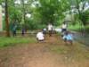 dsc02845_small.jpg