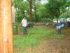 dsc02849_small.jpg