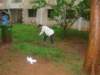 dsc02857_small.jpg